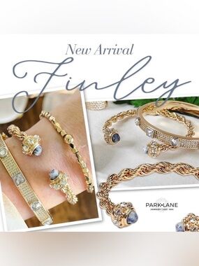 Park Lane Finley Bangle Bracelet! BNWT!!